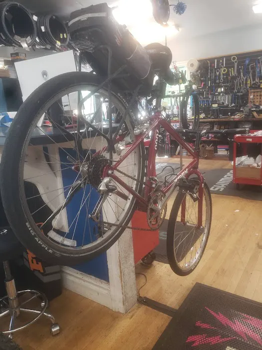 Marty's Reliable Cycle of Randolph Picture 6