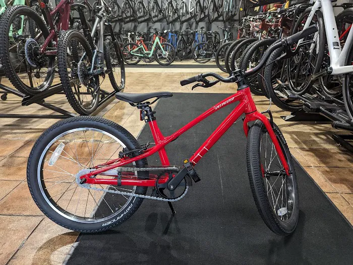 Hilltop Bicycles New Jersey - Madison Picture 1