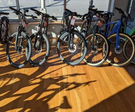 Marty's Reliable Cycle of Morristown