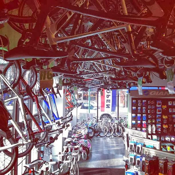 Hilltop Bicycles New Jersey - Summit Picture 8