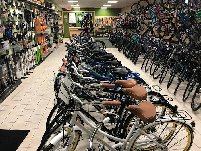 Felix Bike Picture 3