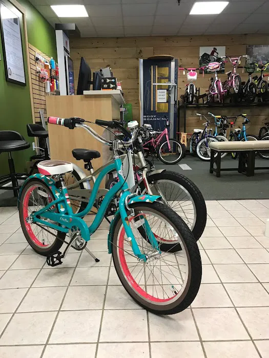 Felix Bike Picture 4
