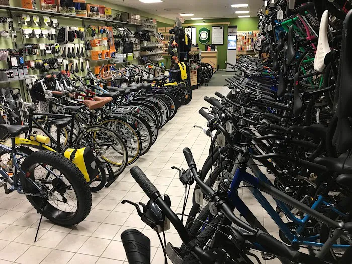 Felix Bike Picture 6