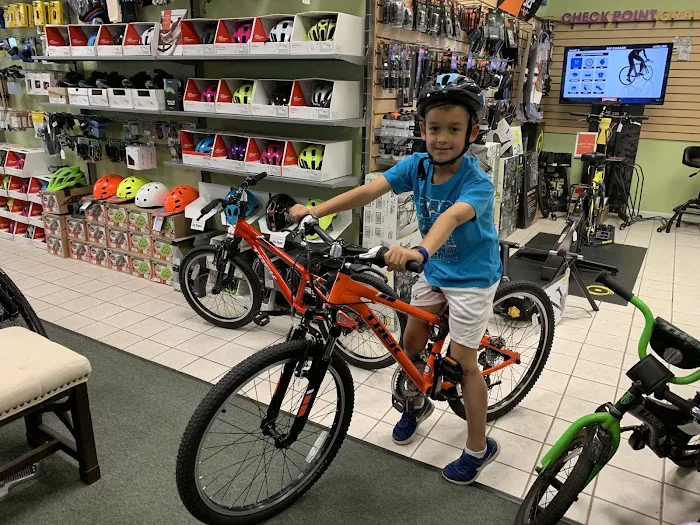Felix Bike Picture 9