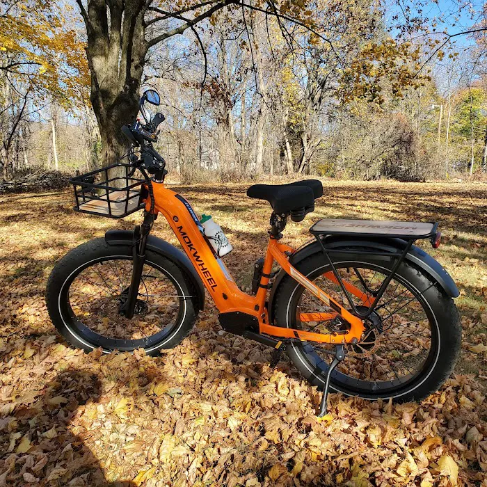 Max's Electric Bikes Picture 6