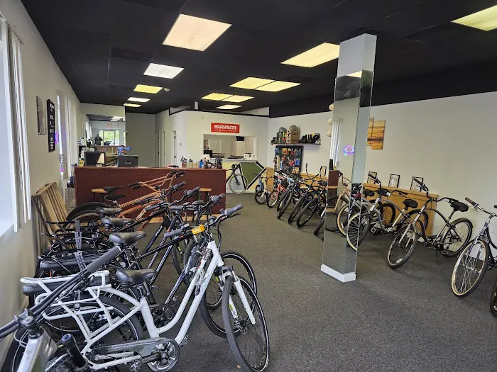 Bayshore Bike Shop Picture 2