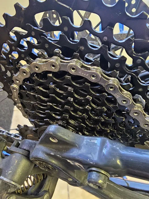 Bayshore Bike Shop Picture 5