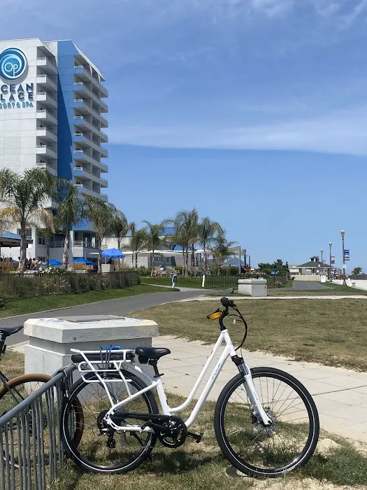 Bayshore Bike Shop Picture 8
