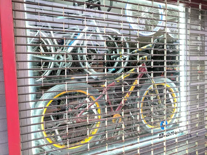 The Bike Shop, Inc. Picture 1