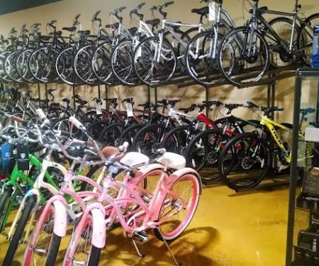Trek Bicycle Store of Middletown