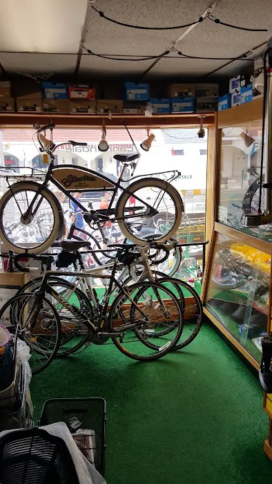 Harbor Bike & Beach Shop Picture 5