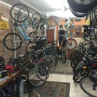 CYCLES OF LIFE ico