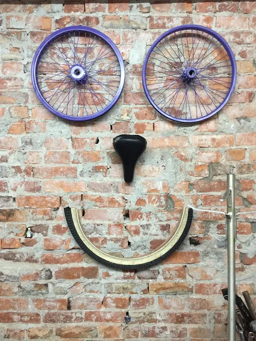 CYCLES OF LIFE Picture 7