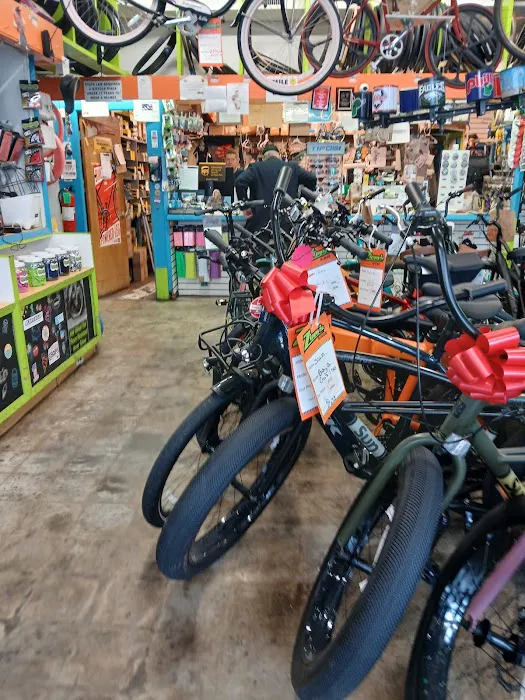 Zippy's Bikes Picture 7