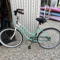 Acme Beach and Bike ico