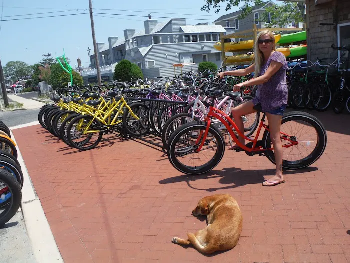 Acme Beach and Bike Picture 3