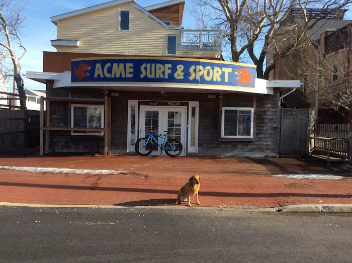 Acme Beach and Bike Picture 9