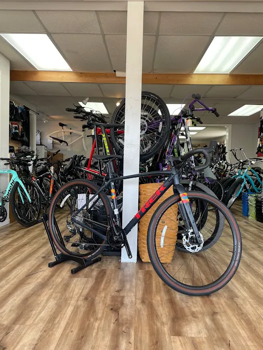 Shore Brake Cyclery Picture 3