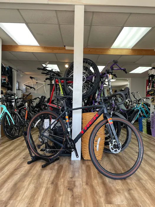 Shore Brake Cyclery Picture 6
