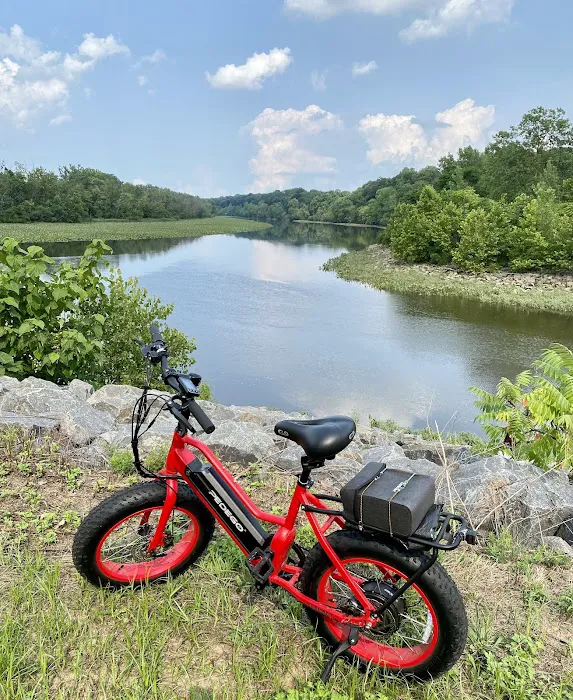 Pedego Electric Bikes Long Beach Island Picture 9