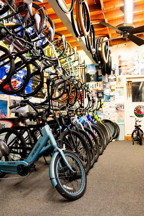 Walters Bicycles & Pedego Long Beach Island Picture 3