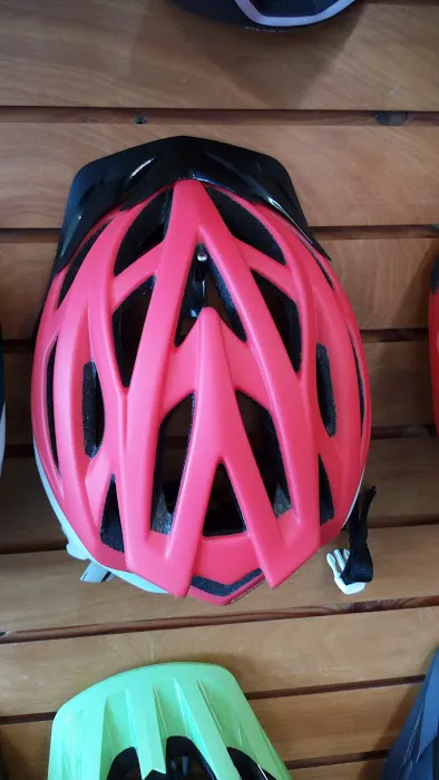 Cole's Bicycles Inc Picture 2