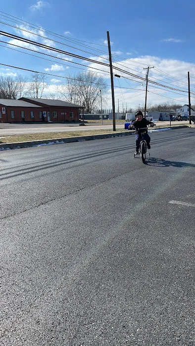 Cole's Bicycles Inc Picture 5