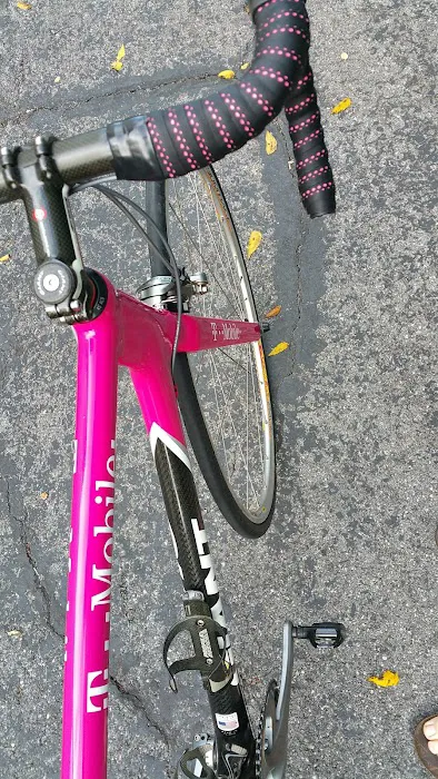Cole's Bicycles Inc Picture 7