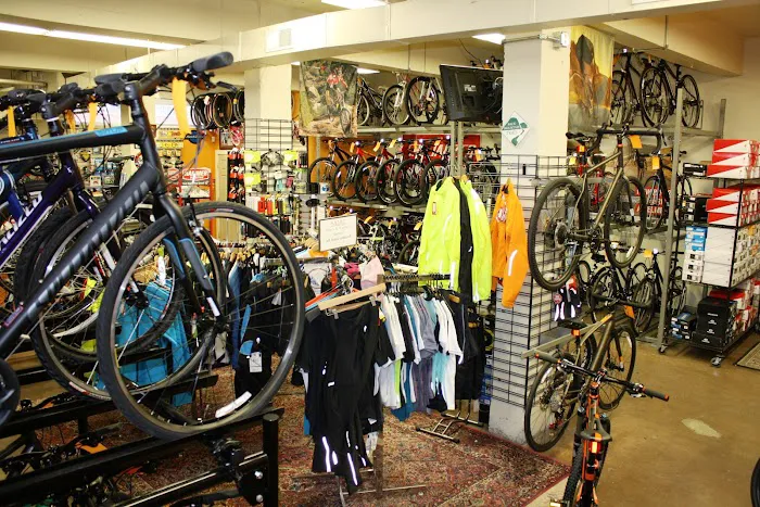Around Town Bicycles Inc Picture 3