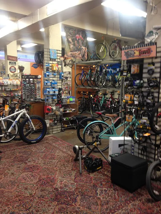 Around Town Bicycles Inc Picture 8
