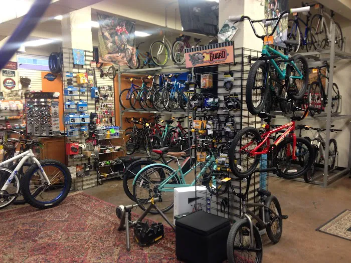 Around Town Bicycles Inc Picture 5