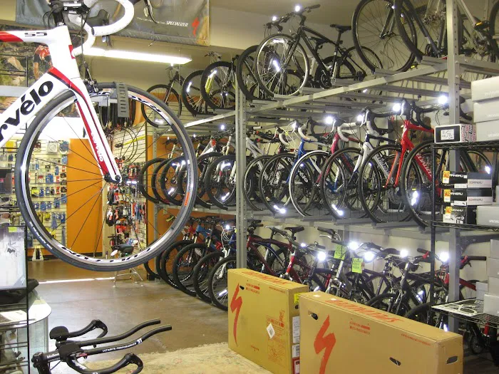 Around Town Bicycles Inc Picture 6