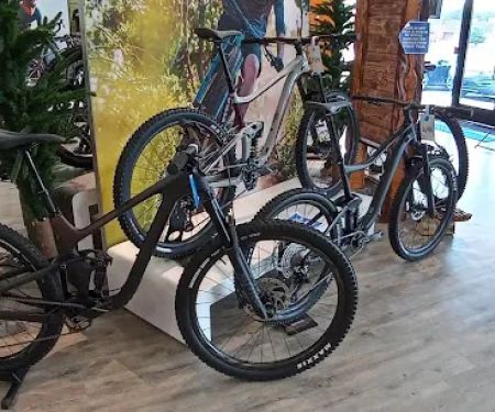 B3 Bicycles - Giant Howell