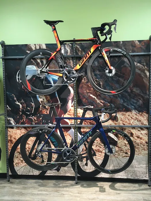 B3 Bicycles - Giant Howell Picture 4
