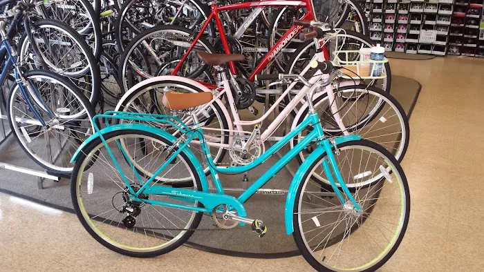 Shrewsbury Bicycles Picture 5