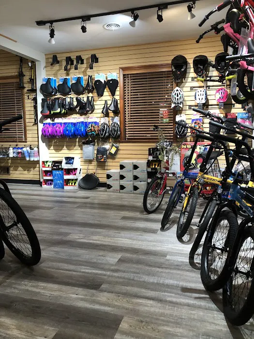 Andy's Cycle Center LLC Picture 3