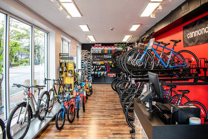 The Urban Cyclery Shop Picture 2