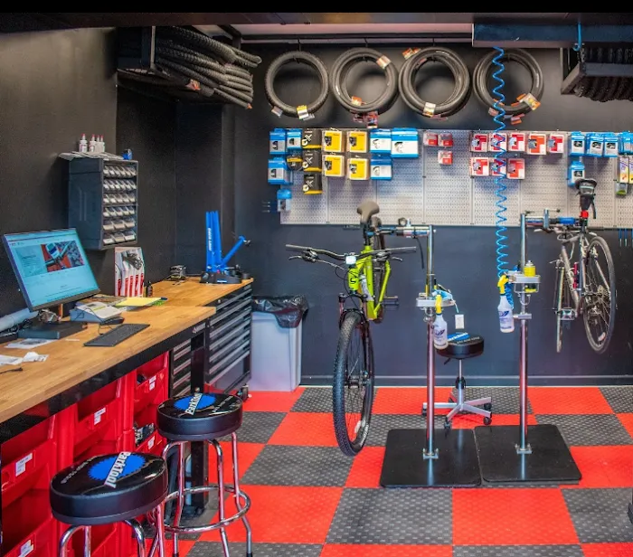 The Urban Cyclery Shop Picture 3