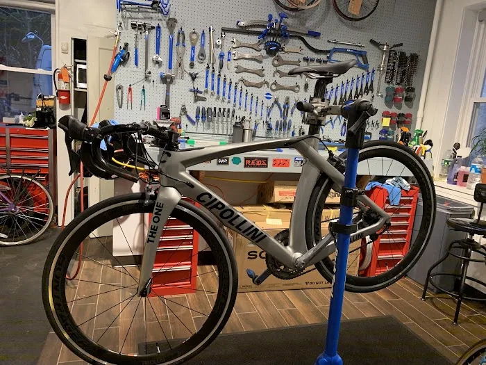 Maplewood Bike Shed Picture 1