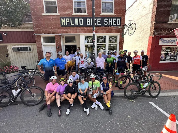 Maplewood Bike Shed Picture 5