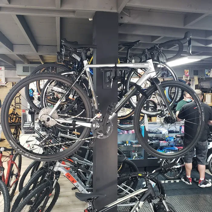 Bennetts Bicycles Inc Picture 10