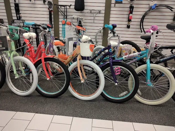 RG's Bicycle Shop Picture 4