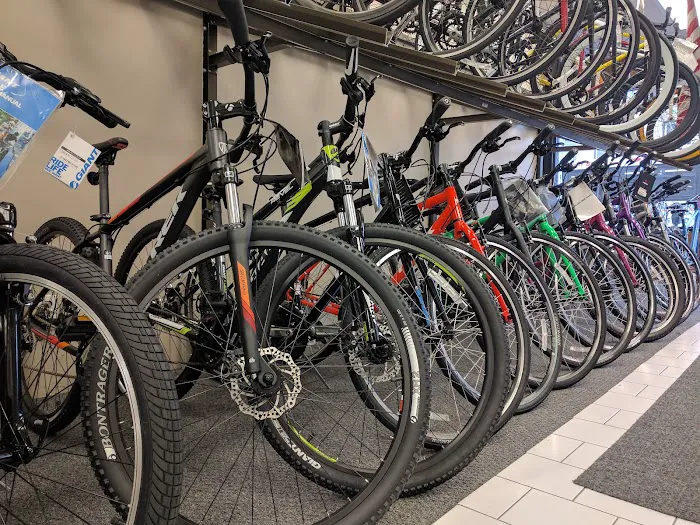 RG's Bicycle Shop Picture 7