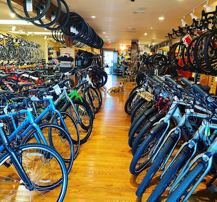 Brielle Cyclery Picture 1