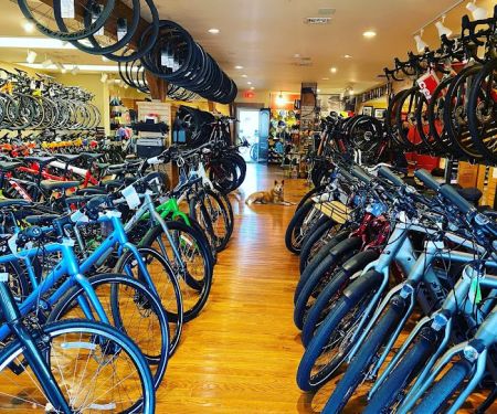 Brielle Cyclery