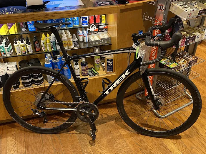 Brielle Cyclery Picture 4