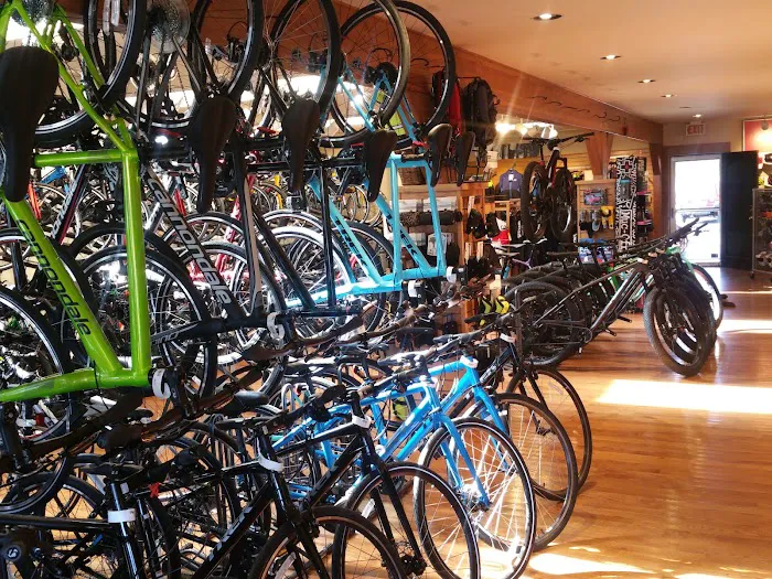 Brielle Cyclery Picture 5