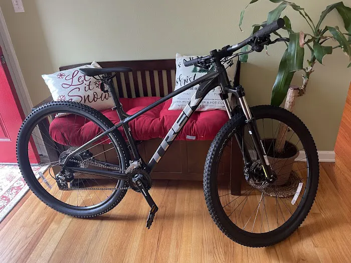 Brielle Cyclery Picture 9