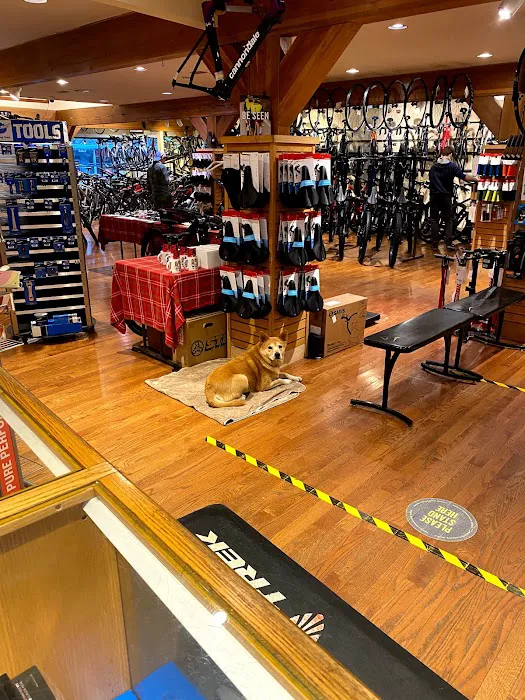 Brielle Cyclery Picture 7