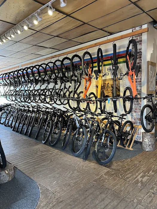 Belmar Bike Shop Picture 1